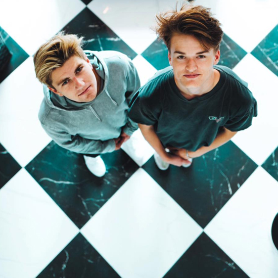 Twinsick