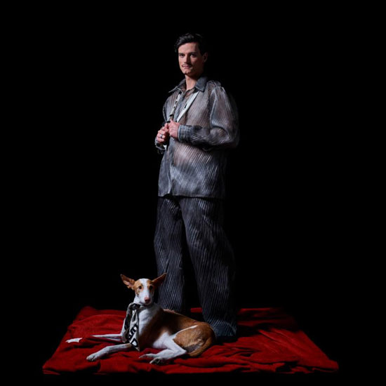 Discount Tickets to Innellea